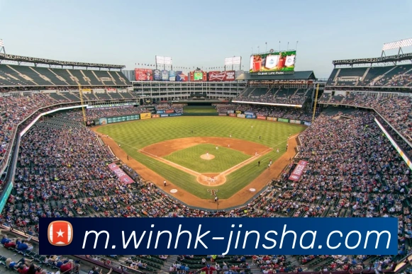 App Interface Preview